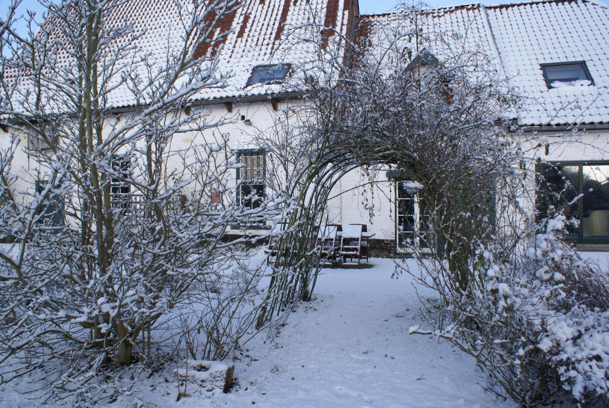 B&B De Metstermolen Sint-Truiden Bagian luar foto